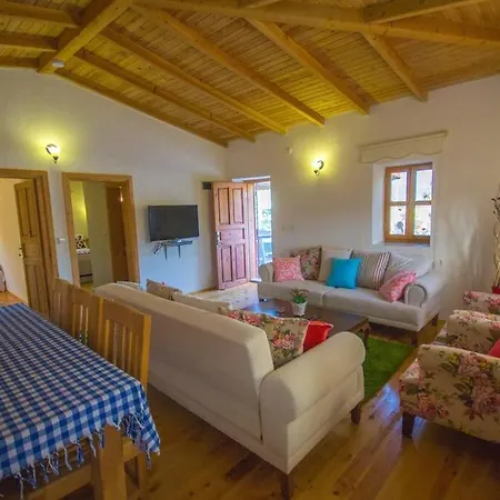 Villa Havuzu Korunaklı Jakuzili Kinali (Aegean)