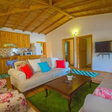 Villa Havuzu Korunakli Jakuzili