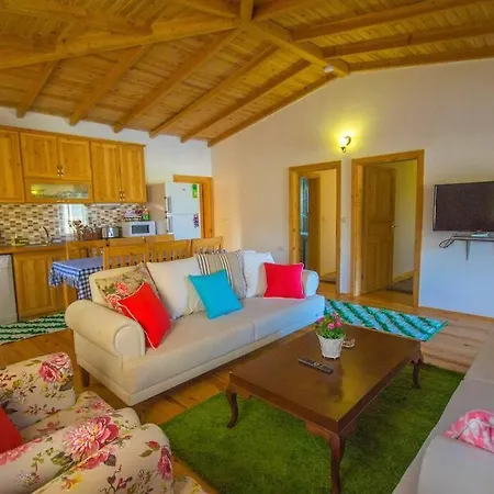Havuzu Korunaklı Jakuzili Villa