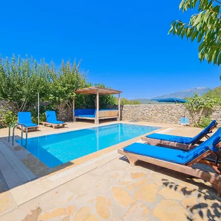 Villa Havuzu Korunaklı Jakuzili *
