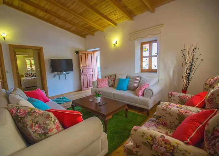 Havuzu Korunakli Jakuzili Villa *